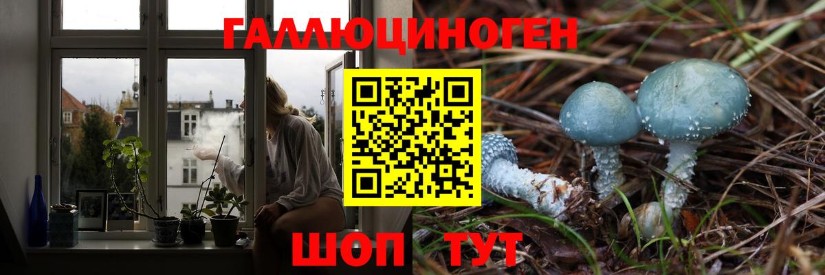 Псилоцибиновые грибы мухоморы Воркута